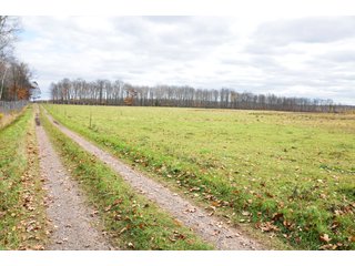 Property photo 39 - REAL ESTATE AUCTION - 1,428+/- ACRES OFFERED IN 10 TRACTS IN PRICE CO., WI